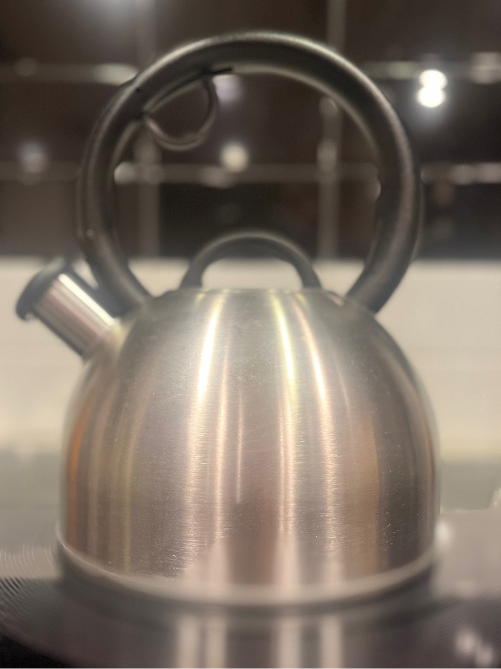 Copco Brushed Stainless Steel Whistling Kettle with Black Handle NWT